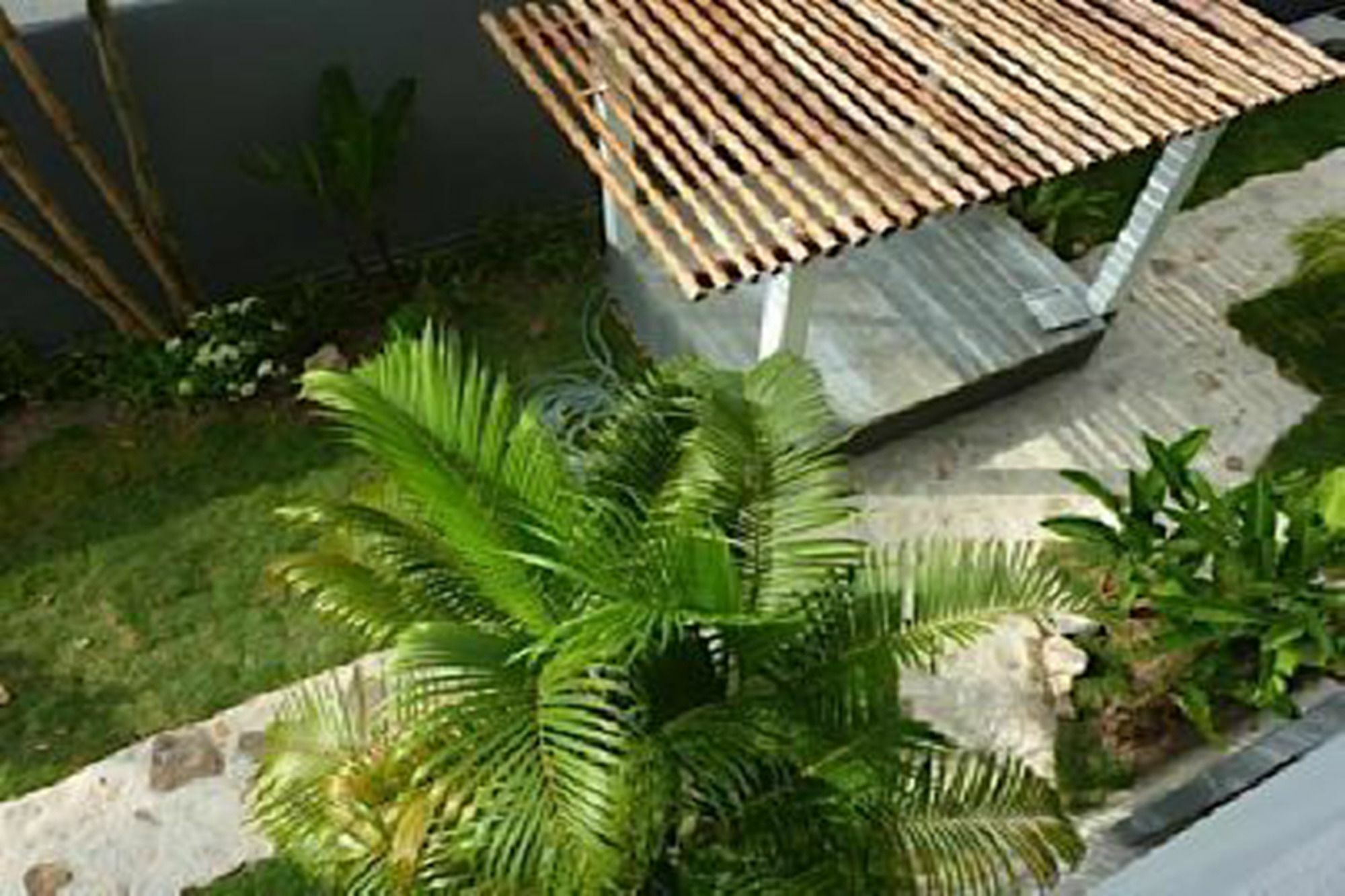 Sairee Sairee Guesthouse Ko Tao Dış mekan fotoğraf