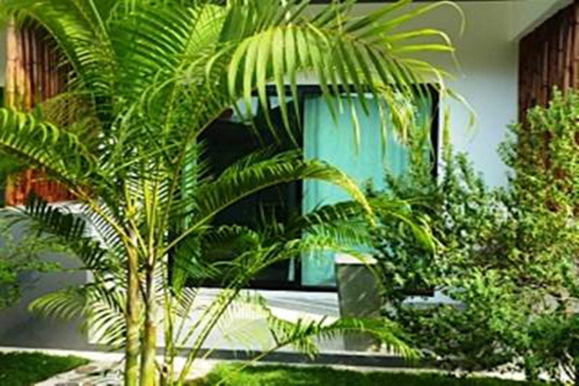 Sairee Sairee Guesthouse Ko Tao Dış mekan fotoğraf