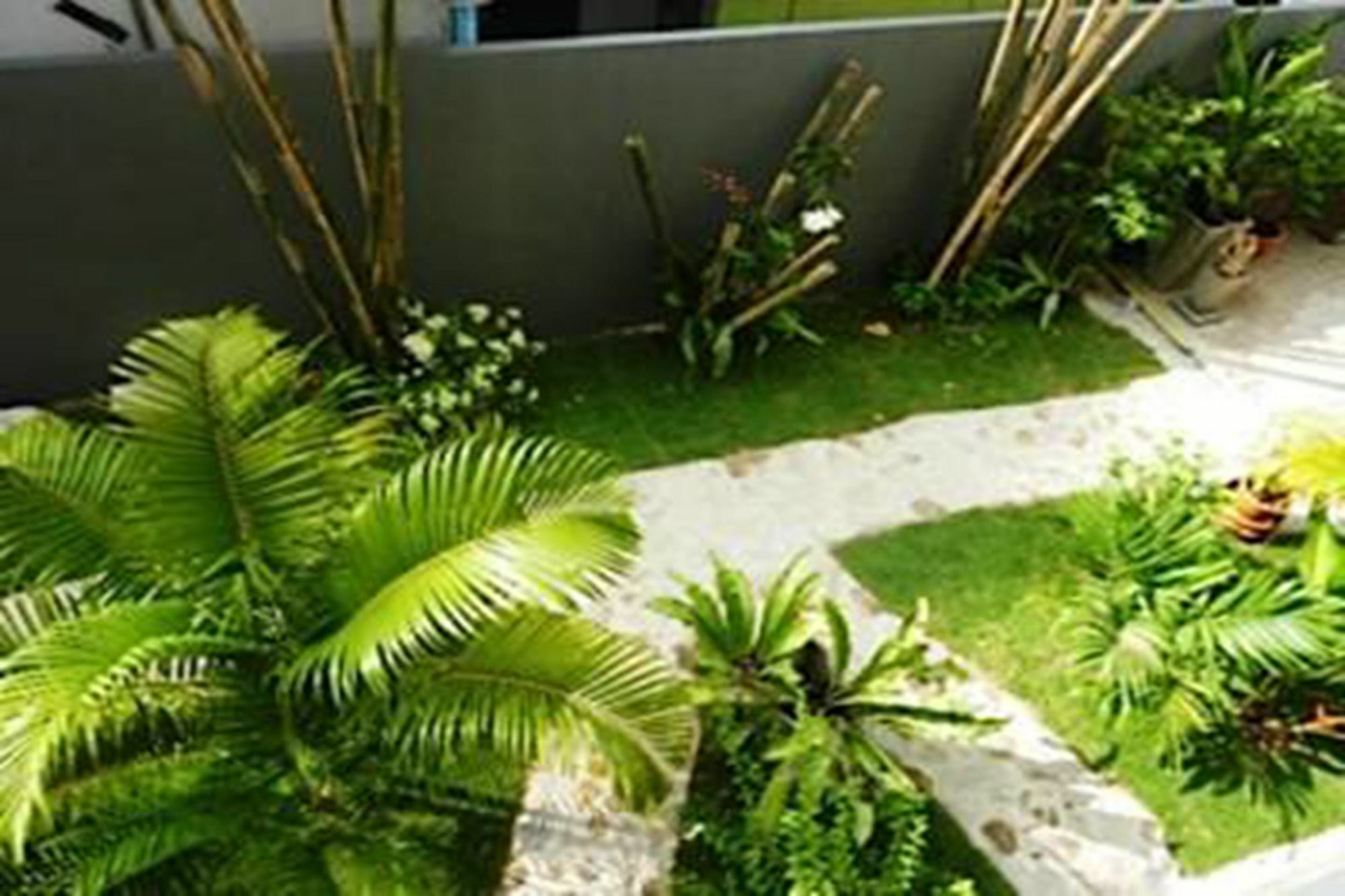 Sairee Sairee Guesthouse Ko Tao Dış mekan fotoğraf